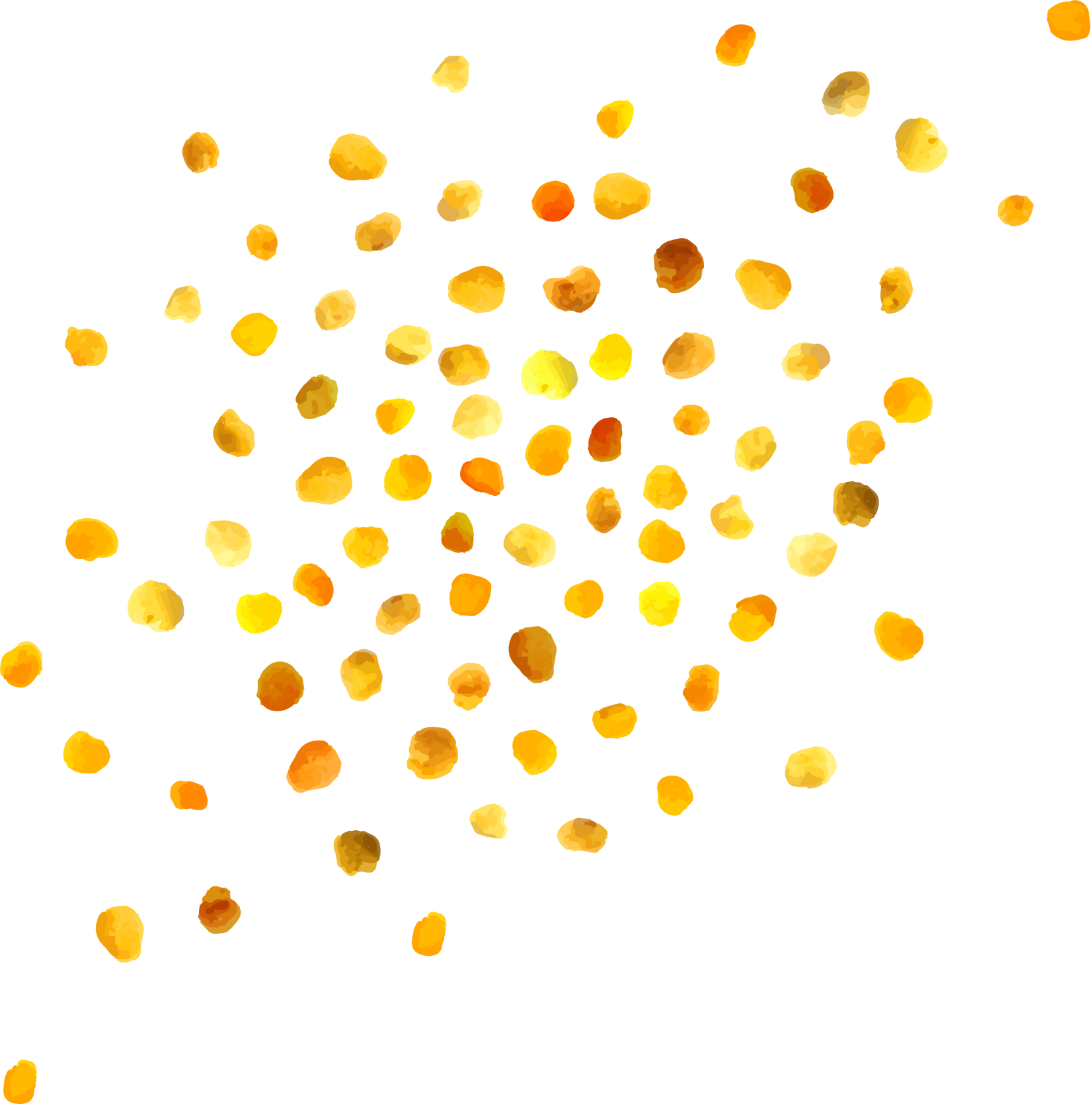 Congrès du Réseau Grenier Vert d’Afrique Tunisie 2025 (3)