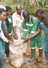 {{brizy_dc_image_alt entityId=